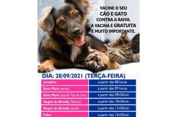 VACINAÇÃO CONTRA RAIVA EM CÃES E GATOS.