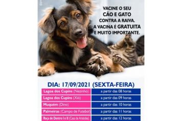 VACINAÇÃO DE CÃES E GATOS CONTRA RAIVA 