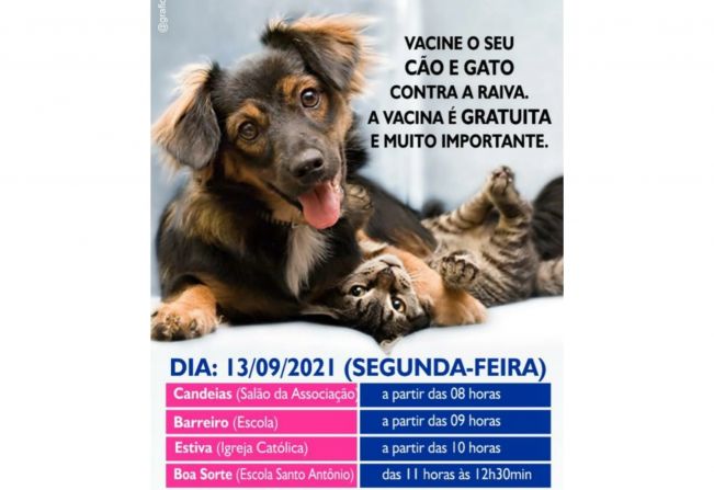 VACINAÇÃO DE CÃES E GATOS CONTRA RAIVA 