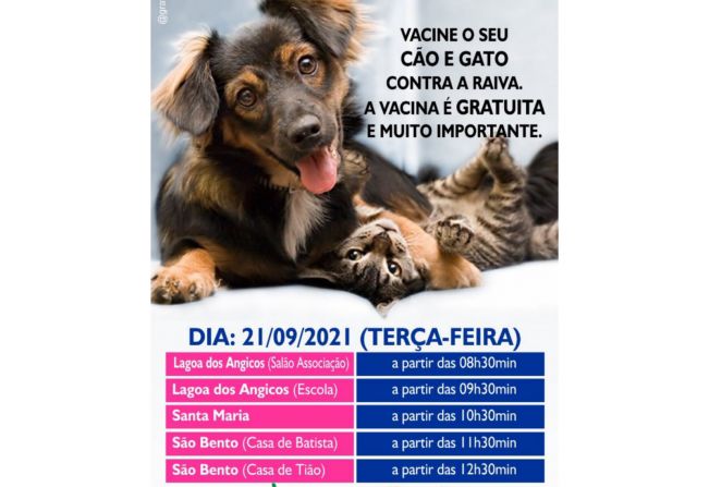 VACINAÇÃO DE CÃES E GATOS CONTRA RAIVA 