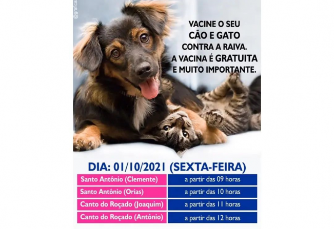 FIQUEM ATENTOS AS DATAS VACINE SEU CÃO E GATO CONTRA A RAIVA